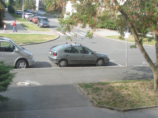 Můj Megánek - z okna